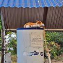 어라운드빌리지 | 어라운드빌리지 캠핑장 B02 사이트 후기