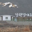 두루미202 이미지