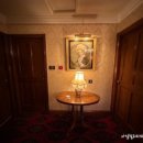 도그비앤비 이미지