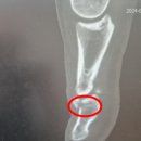 목포정형외과의원 이미지