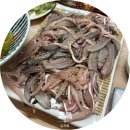 수산모텔 | 곡성 횟집 로컬맛집 대한수산물회판매장 ㅣ기차마을 근처 동네 찐 맛집이었던곳