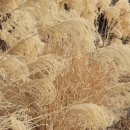 중랑캠핑숲 이미지