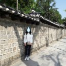 서인당한약방 | [나들이] 창경궁 "시간여행, 그날" 시민배우 공모