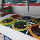 무안맛집 이미지