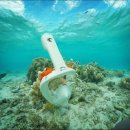 문정고등학교(내) 이미지