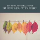 디자인제제 이미지