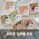 엄마도 아이도 좋아하는 유치원 선물 답례품