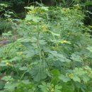 수서농장 이미지