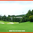 테디벨리 네이버블로그