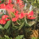 [10편] 2025년9월19일10월17일 양주나리농원을 다녀와서! 이미지