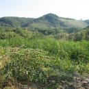 형제카서비스 이미지