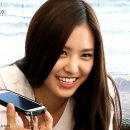 태민농장 이미지