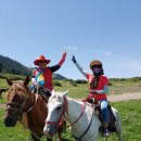 고성목장 이미지