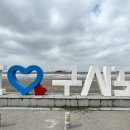 서해백합
