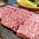 박사네갈비