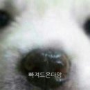 페인스톰 잠실 이미지