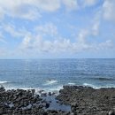 서림연대 이미지