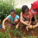 신리초등학교 이미지