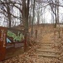 금곡초교옆 공원 이미지