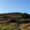 새미민박 이미지