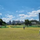 다목적광장2 이미지