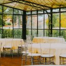 바바나무 이미지