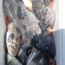 서망항2 이미지