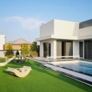 누아르 블랑 이미지