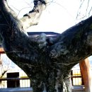 구성초등학교 이미지