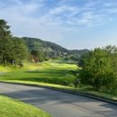 종자리로1 이미지