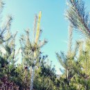 다목농장 이미지