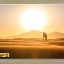 감천쫀드기