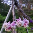 승희농장 이미지