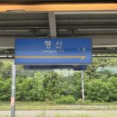 해밀게스트하우스 | 2박 3일 목포 여행 :: day1 (등대식육식당, 신비포차, 목포대교, 해밀게스트하우스 )