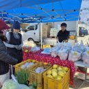 김윤태농장 이미지