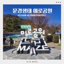 문경새재 생태미로공원 | 문경 아이와 가볼만한곳 문경새재 문경생태 미로공원