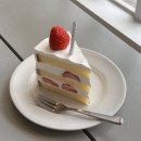 부산여행 _☁︎ 소품샵/맛집 추천