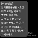 황학균동물병원 네이버블로그