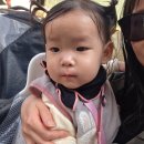 장미원치킨 | 에버랜드 워킹사파리 아기랑 평일 오픈런 후기 ft. 유모차, 예약, 주차, 아기옷차림, 아기식사, 준비물