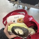 대평수산회센타