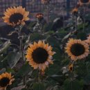 (주)퓨전미디어 | [블챌]11월 셋째 주_ 가을맞이 경주 나들이