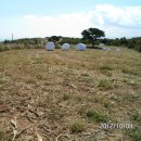 장수원목장 이미지