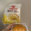 프리버드(FREE BIRD) - 성남시 분당구 | [서울유유] 황치즈크림빵 솔직후기 (내돈내산)