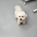 릴리줄리살롱 이미지