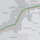 리코태양광발전소 이미지