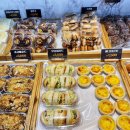 데일리팡 이미지