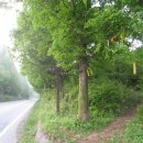 정재2공원 이미지