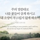오늘의 '영어성경 사진'(769강) “내가 삶을 살아가는 방식”(시편 119편 116절) 이미지