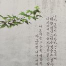 쌤글씨교정센터