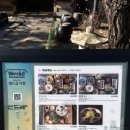 산드레 | 경주 한식 제대로 즐긴 날, 백복령코스로 먹은 산드레 후기